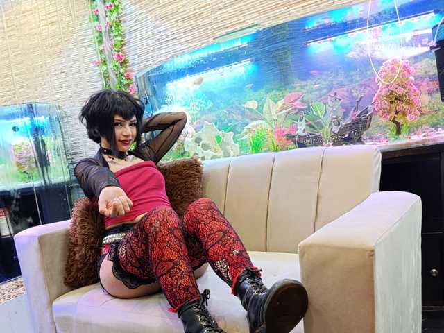 صورة الملف الشخصي abril-hill