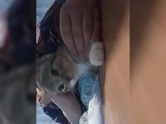 لقطات البث 8Lilith8