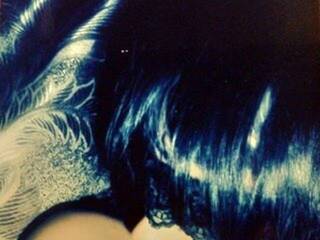 دردشة الفيديو المثيرة AlexaCool