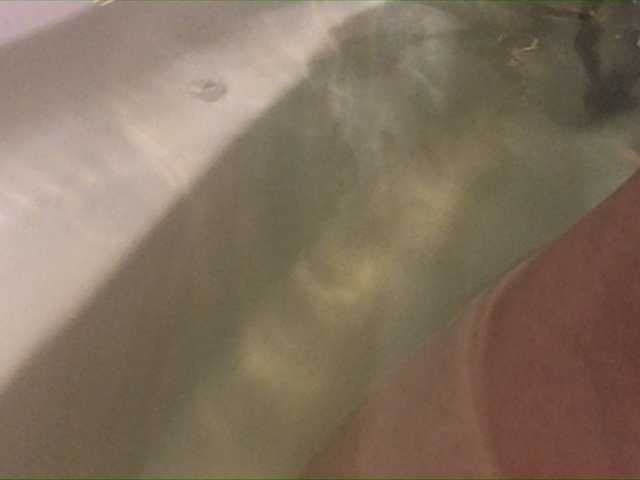 لقطات البث Alianakiss