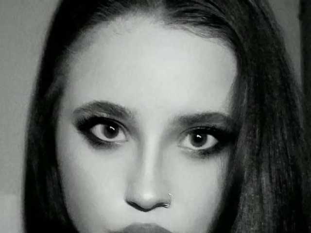 صورة الملف الشخصي alyafox