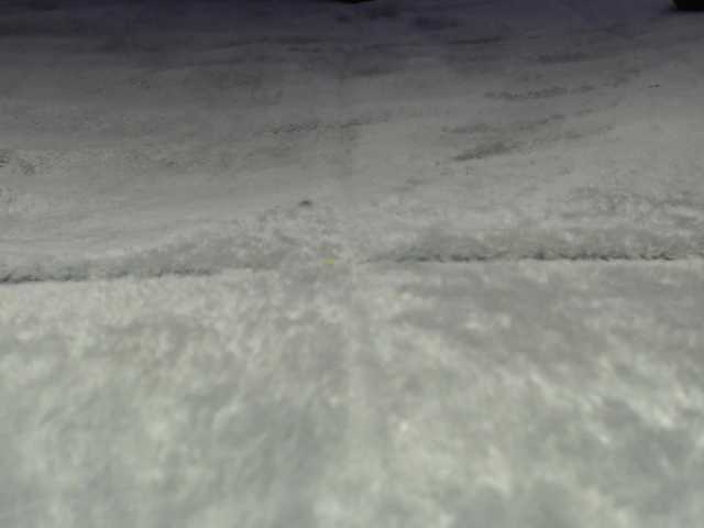 لقطات البث AmberGrey