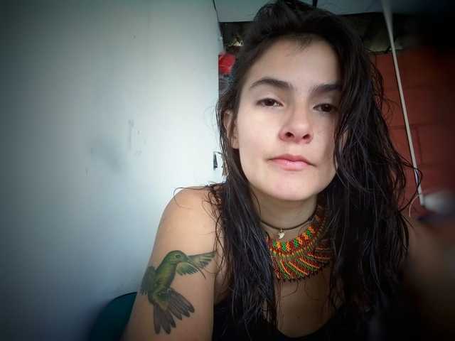 صورة الملف الشخصي AmelieColins