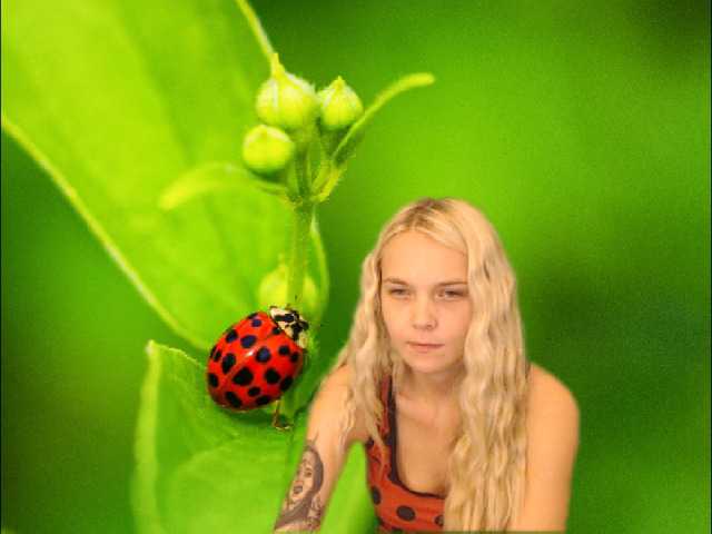 الصور AnnaHappy18 ...the story of the lonely ladybug.