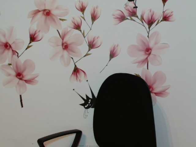 لقطات البث bellaajoe