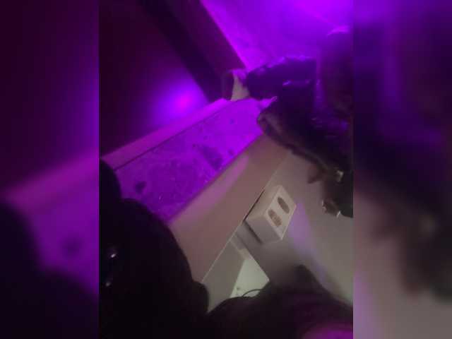 لقطات البث BellaGlory