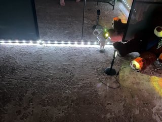 دردشة الفيديو المثيرة -KOCMOC-13