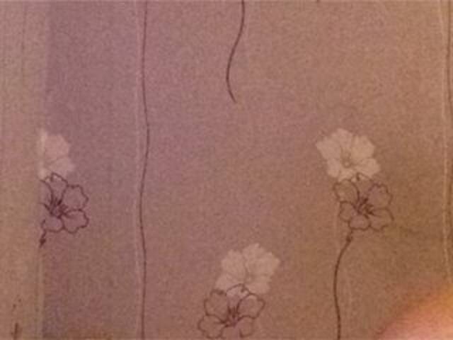 لقطات البث Brillian7