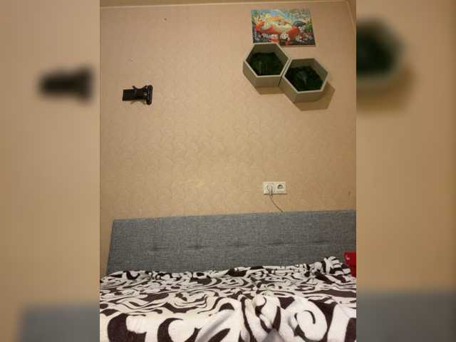 لقطات البث SweetyMeow