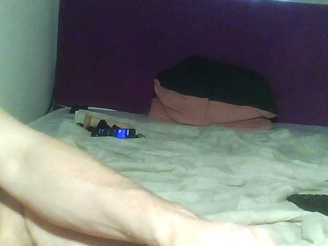 لقطات البث cat-and-cat