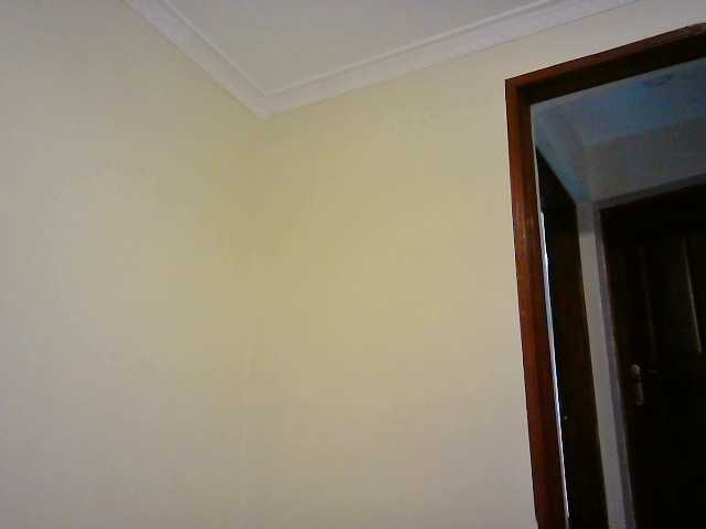 لقطات البث Cattie