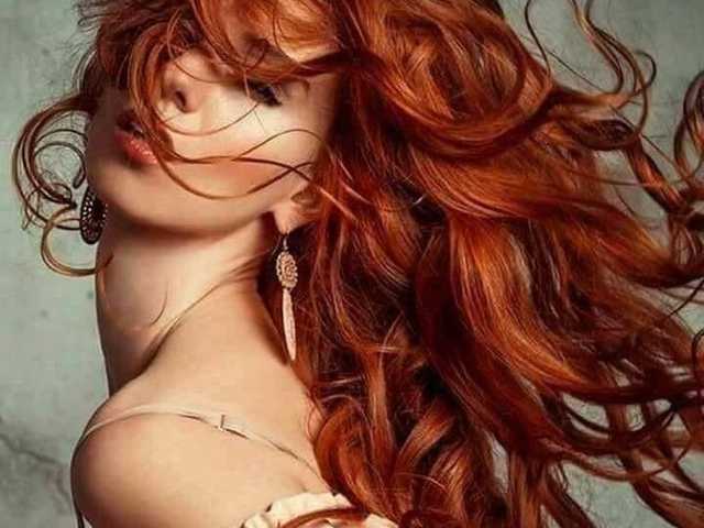 صورة الملف الشخصي Chanterelle
