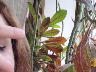 دردشة الفيديو المثيرة Crazycouple8