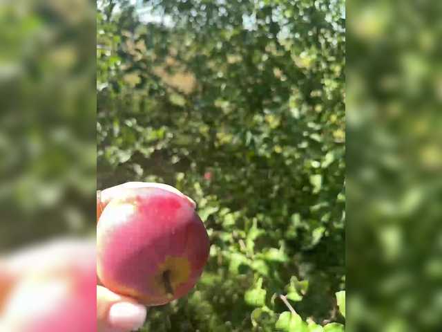 لقطات البث SSaibaliii