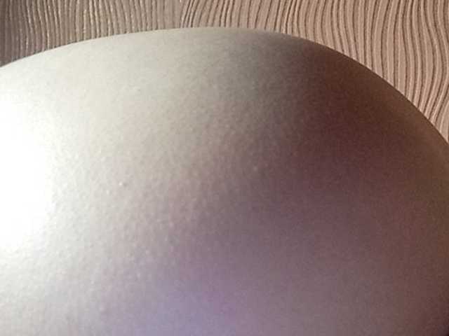 لقطات البث Darinaray777