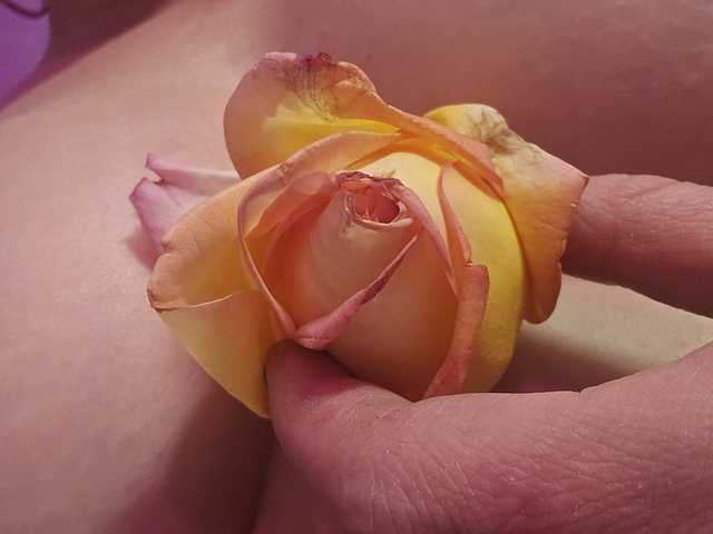 صورة الملف الشخصي Delicious-Dahlia
