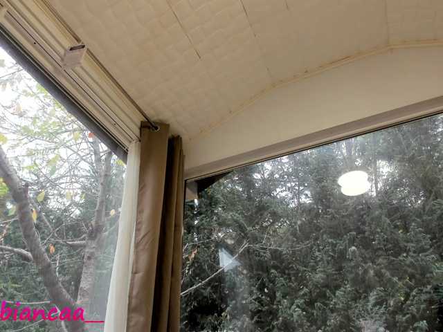 لقطات البث Denise-Quinn