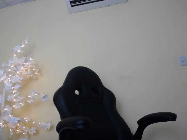 لقطات البث DEVANY-REY