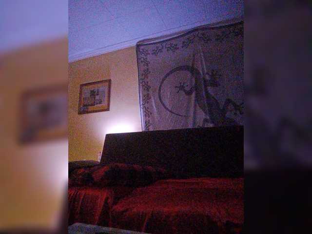 لقطات البث Doggysx