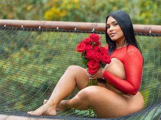 دردشة الفيديو المثيرة Ericajohnson12