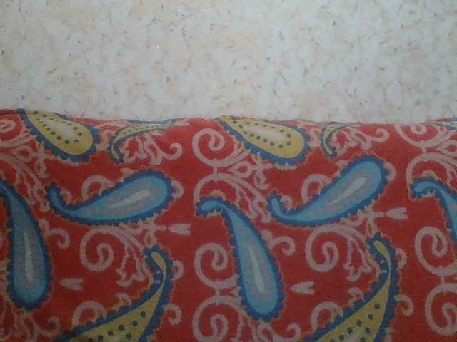 لقطات البث Fantom-38