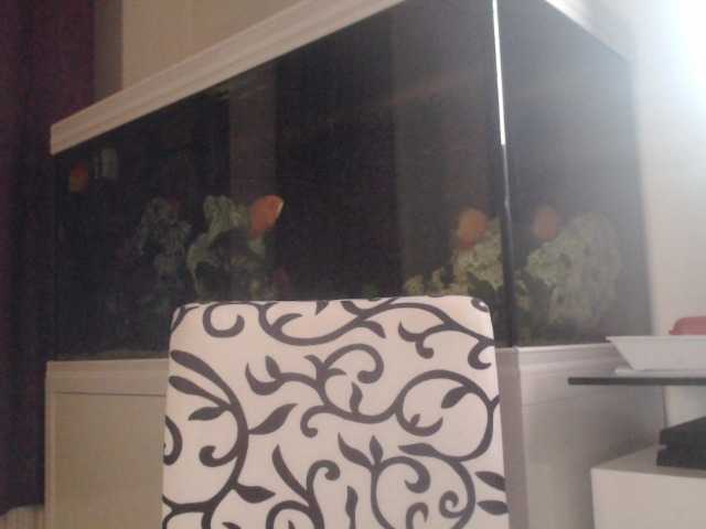 لقطات البث Farahslut