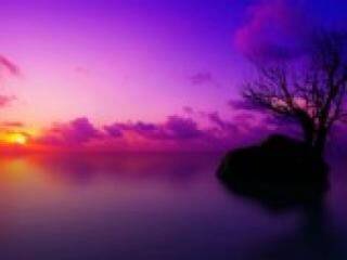 دردشة الفيديو المثيرة florabella