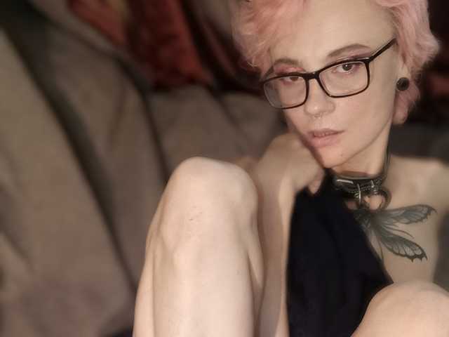 صورة الملف الشخصي GingerWind