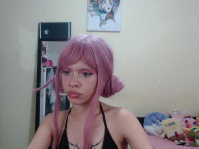 صورة الملف الشخصي hachi-kitty