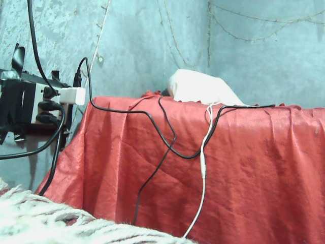 لقطات البث isisaenz