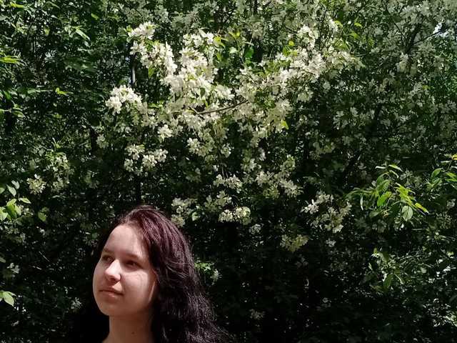 صورة الملف الشخصي LisaMeowss