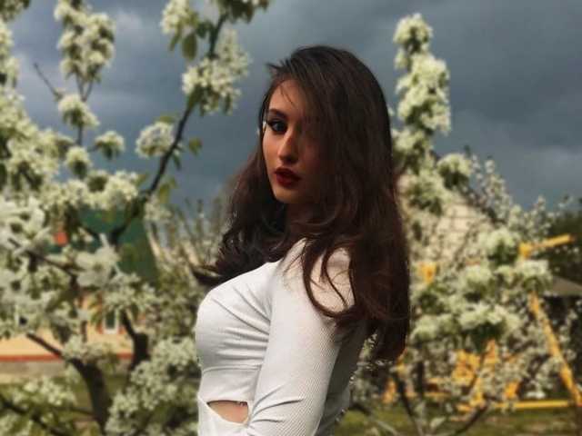 صورة الملف الشخصي KinkyNova