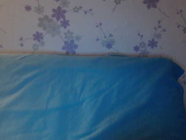 لقطات البث littledevi