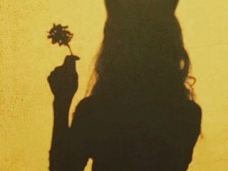 صورة الملف الشخصي Fiery_Phoenix