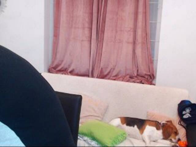 لقطات البث MaxGACouple