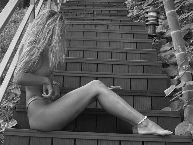 صورة الملف الشخصي Lynx