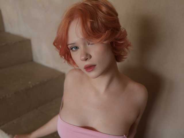 صورة الملف الشخصي MollyWettmond