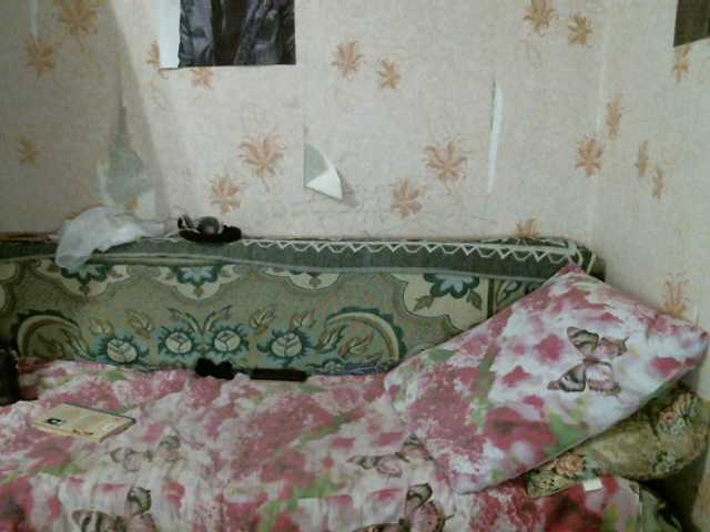 لقطات البث kar0linaa666