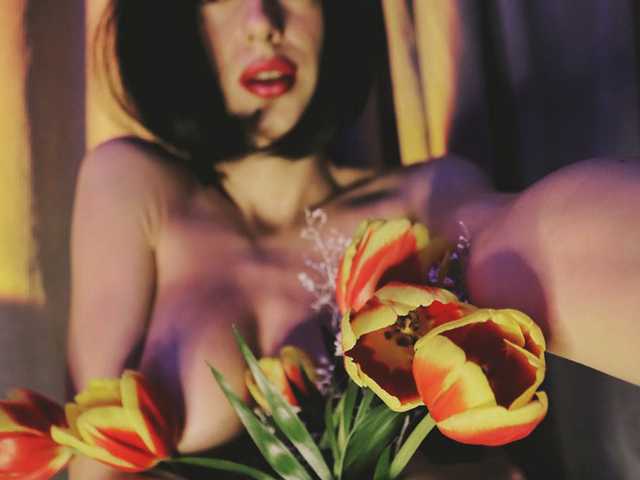 صورة الملف الشخصي Mussaenda