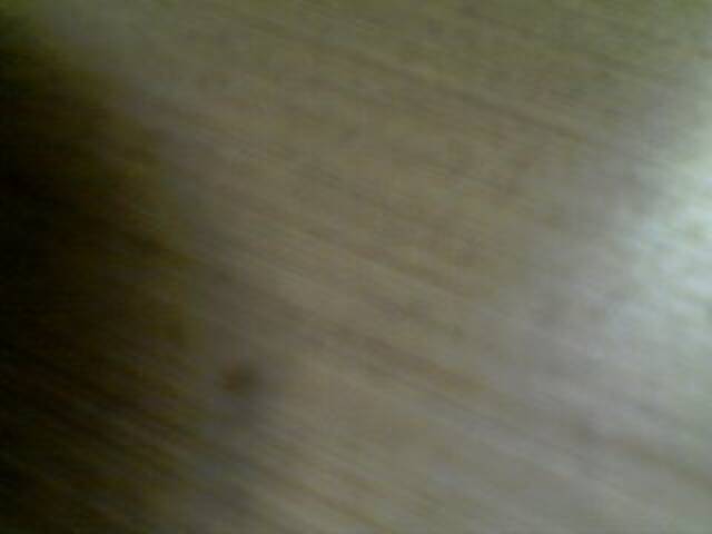 لقطات البث OceanyCat