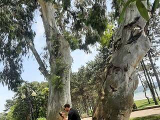 دردشة الفيديو المثيرة PUPI-DEL-REY