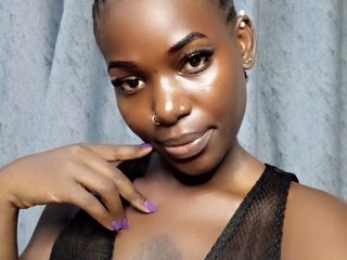 دردشة الفيديو المثيرة Quintessensual