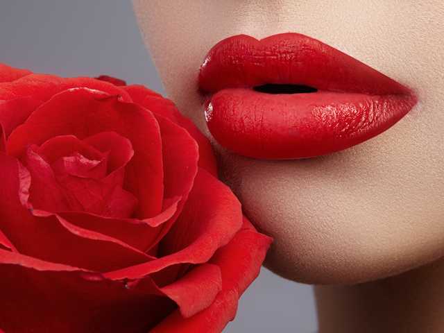صورة الملف الشخصي Red-Rose-777