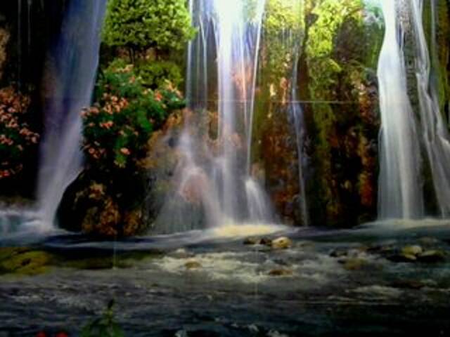 لقطات البث regiha