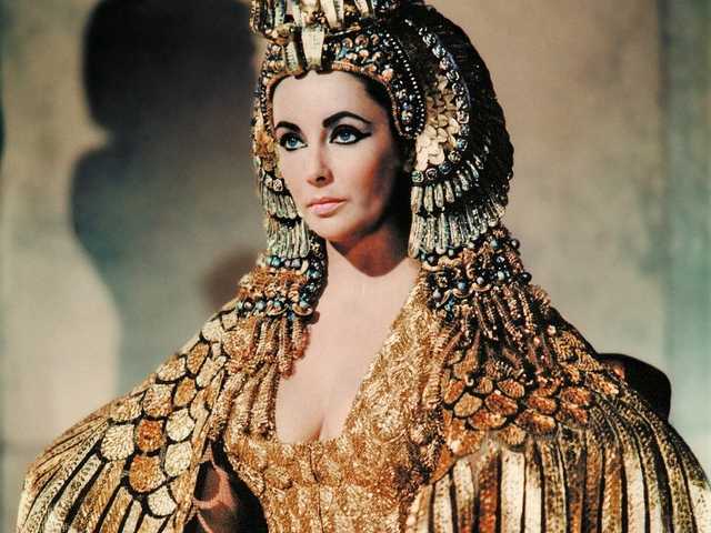 صورة الملف الشخصي Salomandra12