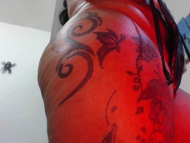 لقطات البث seleneh