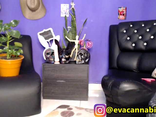 لقطات البث evacannabithc