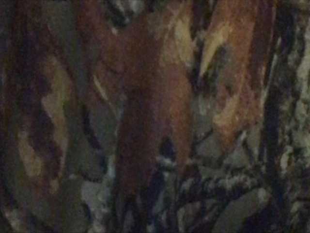 لقطات البث shawtyyredd