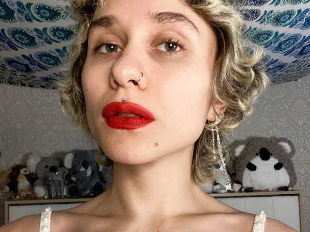 صورة الملف الشخصي sheeshechka