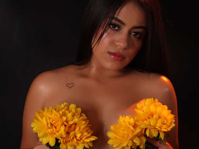 صورة الملف الشخصي shels-loreds